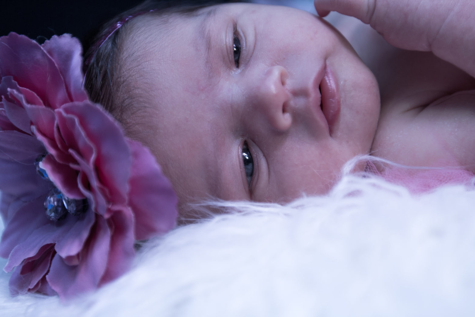 Liliana Hope Agee