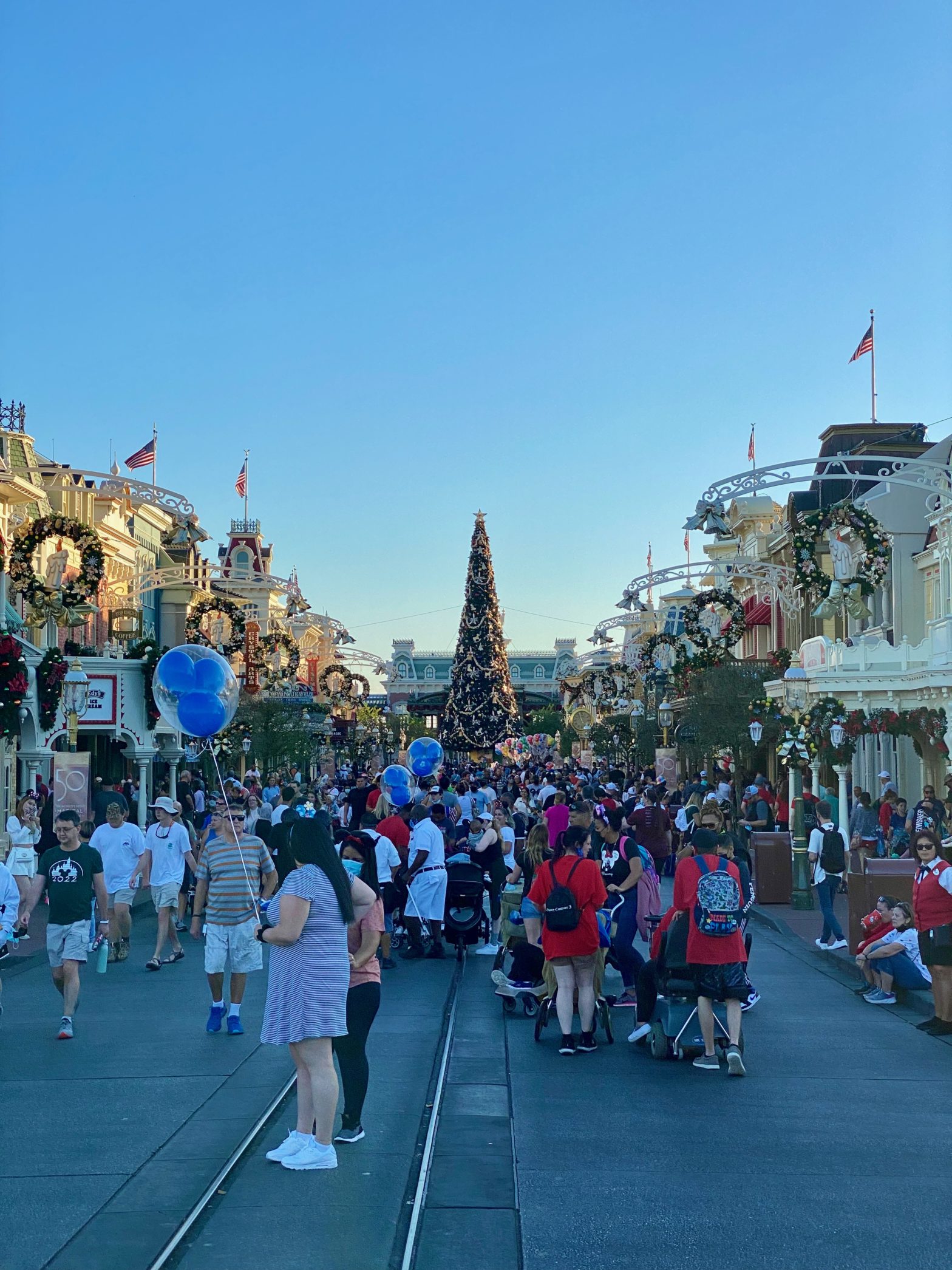 Magic Kingdom at Christmas